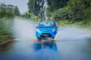 19年新能源汽车销量盘点 微型车市场格局生变，奇瑞小蚂蚁跌出前五