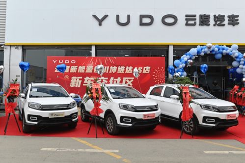 云度新能源布局西南 四川坤维达4s店开业助力区域绿色出行